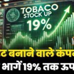 Sigret Company Stock Rised 19 Percente Up